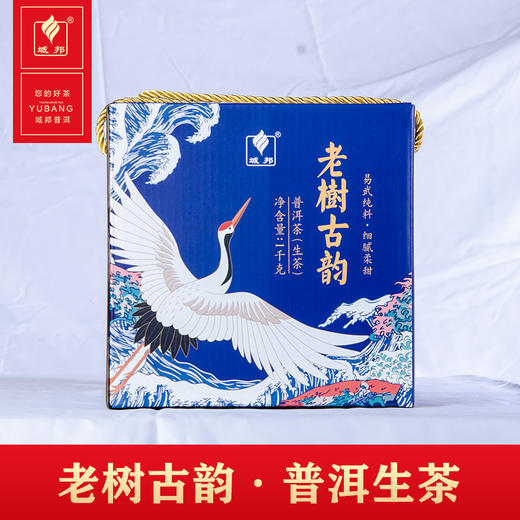 老树古韵·普洱生茶 商品图0