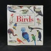 鸟类综合图解指南 600幅彩色插图 精装大16开 商品缩略图0