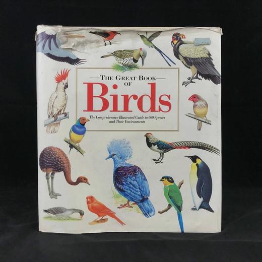 鸟类综合图解指南 600幅彩色插图 精装大16开 商品图0