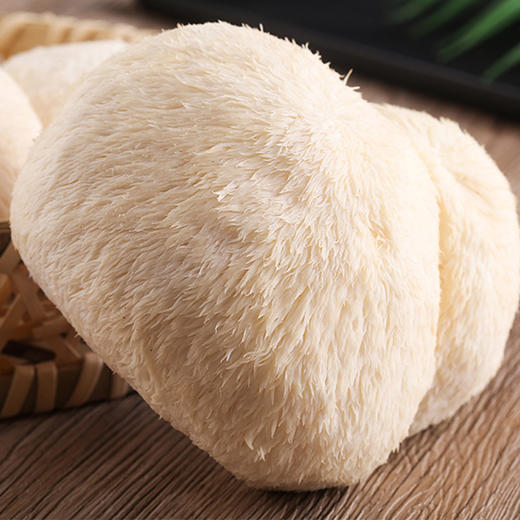 新鲜猴头菇是中国八大“山珍”之一 自古就有“山珍猴头，海味燕窝”之说，与熊掌、海参和鲨鱼翅并列为四大名菜  肉嫩味香，鲜美可口，营养丰富，色、香、味上乘。顺丰包邮 商品图1