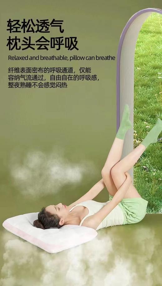 富丽岛家纺零卡无忧枕单只 商品图1