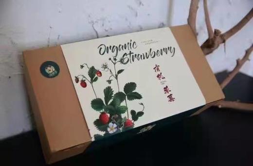 【限时福利59.99元/箱】【鸿翠园有机草莓】 商品图8