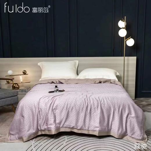 富丽岛家纺蔻驰天丝夏被 商品图3
