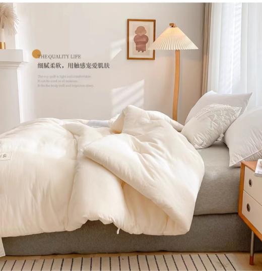 富丽岛家纺水洗棉大豆纤维被 商品图0
