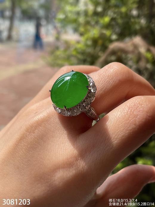 老坑高冰艳绿蛋面戒指【3081203】具体价格微信咨询 商品图6