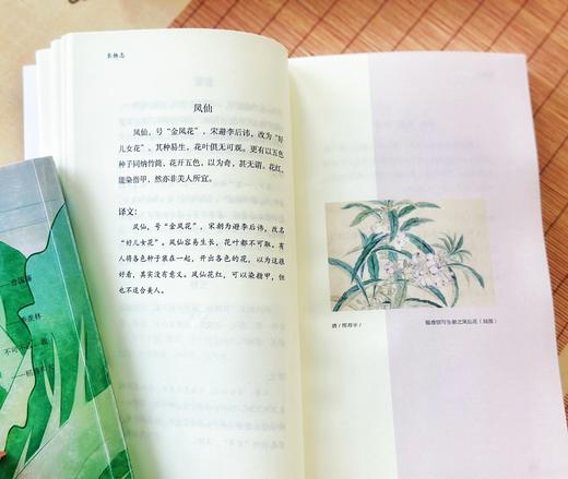 《中国古典生活风雅四书》| 修炼内心境界，发现生活乐趣 商品图6
