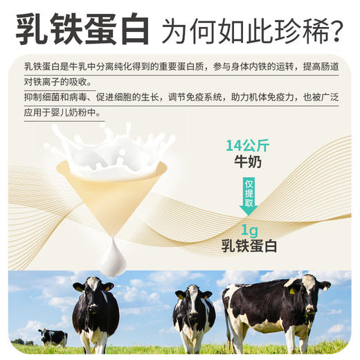 麦富迪狗粮乳铁蛋白幼犬专用粮1.8kg 商品图3