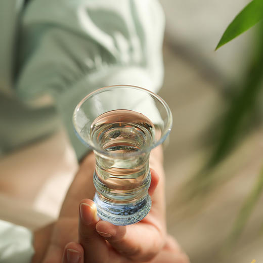 禾器炫彩·君悦套组 一壶四杯进口高硼硅耐热玻璃泡茶壶茶杯高档茶具 商品图3