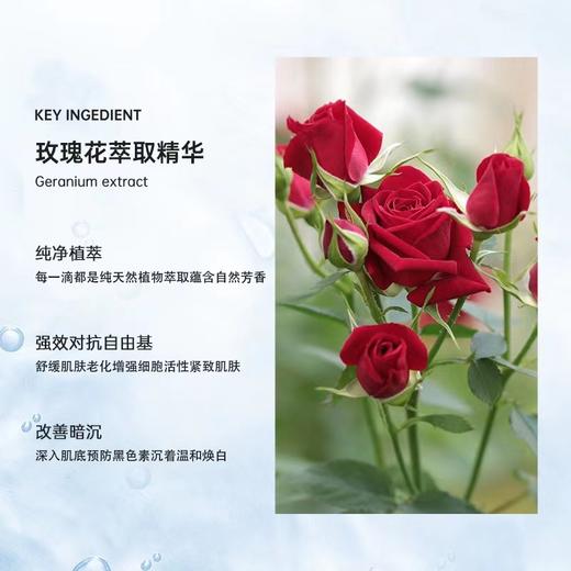 【433元会员福利】暖树·玫瑰纯露补水亮肤面膜6片*2盒 商品图2