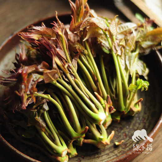 生态云南香椿 | 合作生产* Eco-cedrela sinensis |  Partner Production 商品图0