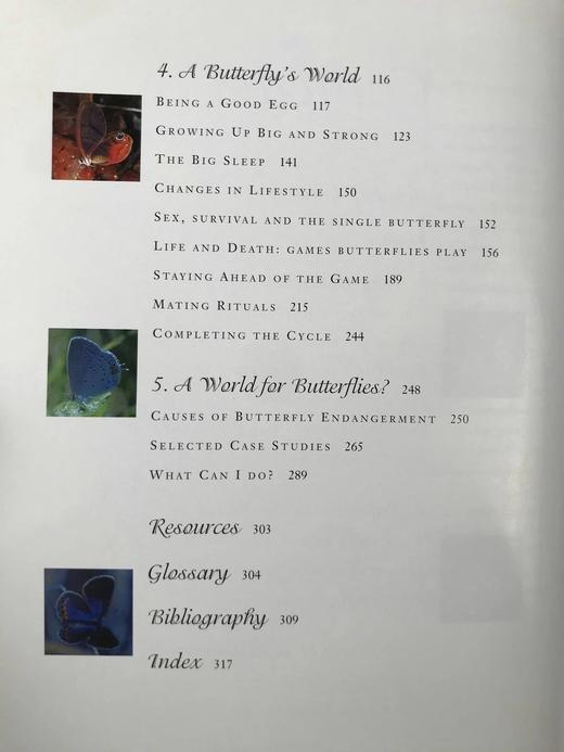 蝴蝶的世界 数百幅彩色插图 平装16开 商品图6