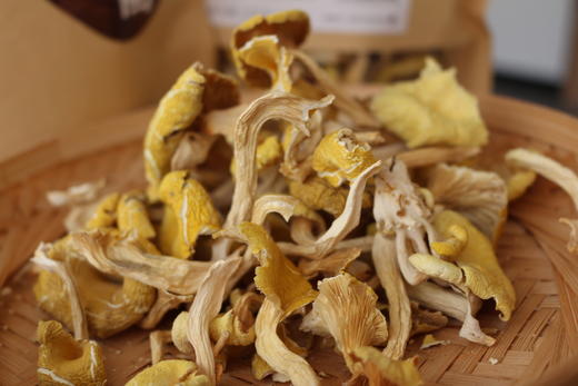 【鸡油菌干货】云南香格里拉 125克 商品图2