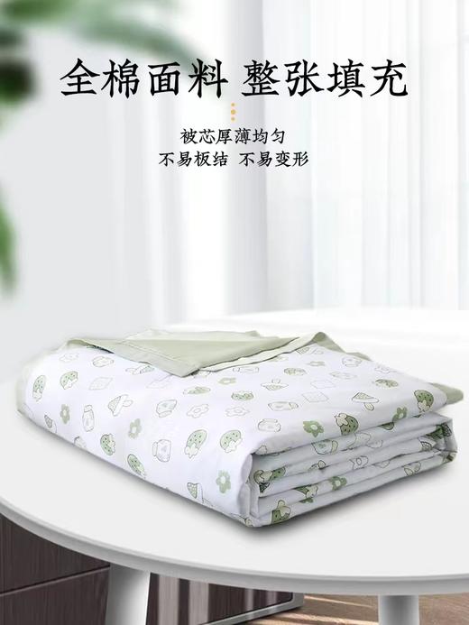 富丽岛家纺韩版小清新夏被 商品图4