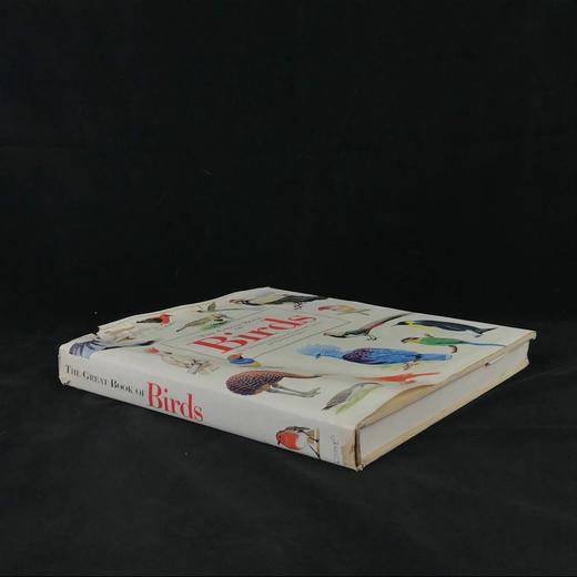 鸟类综合图解指南 600幅彩色插图 精装大16开 商品图1