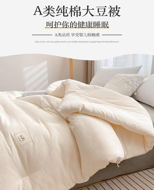 富丽岛家纺水洗棉大豆纤维被 商品图1
