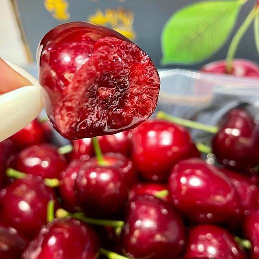 大连美早小苹果大樱桃🍒（1.8斤装） 商品图5