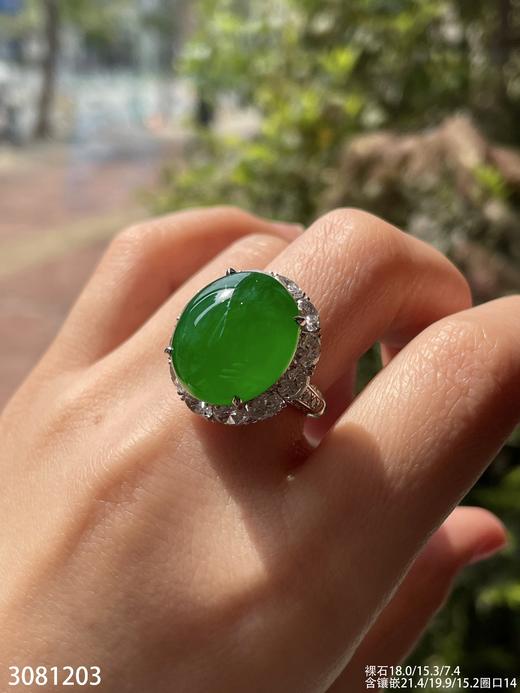 老坑高冰艳绿蛋面戒指【3081203】具体价格微信咨询 商品图3