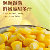 即食玉米粒 80g/包  10包装 商品缩略图2