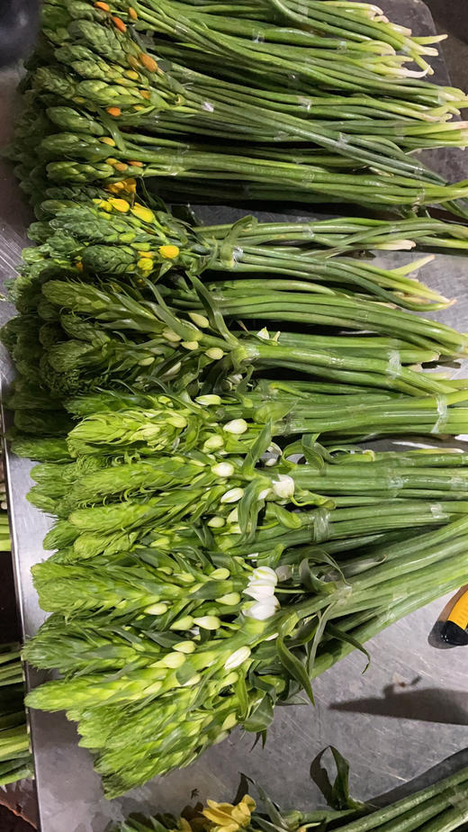 圣心百合 商品图1