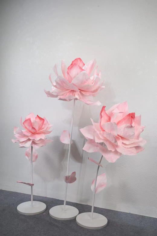 爱莲（运费自理） 商品图4