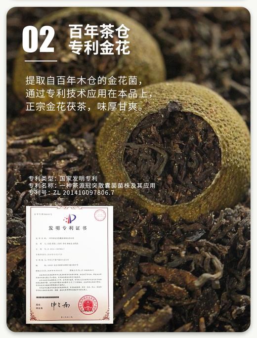 中粮-中茶安化黑茶中茶小青茯正品礼盒小青柑金花茯茶145g 商品图1
