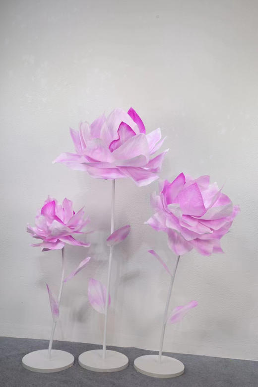 爱莲（运费自理） 商品图5