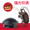 【蟑螂克星】日本“小黑帽” 蟑螂全窝端 家用厨房蟑螂胶饵剂 无毒安全 商品缩略图3