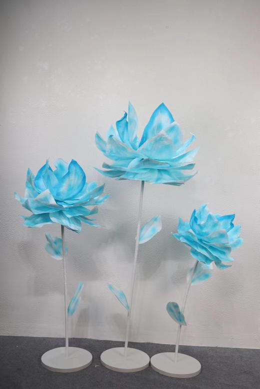 爱莲（运费自理） 商品图6