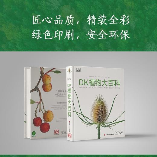 DK树木大百科+DK植物大百科 商品图3