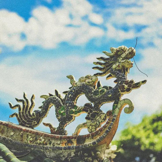 中粮-中茶安化黑茶金花茯砖中茶牌安化黑茶 中茶龙印手筑茯茶680g/原产地直发 商品图2