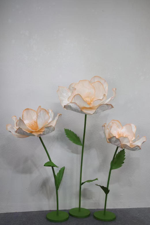 纹边花（运费自理） 商品图8