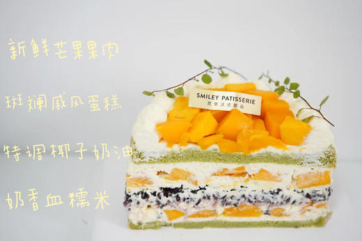 调味奶油蛋糕 ｜ 椰子奶油 - 椰风斑斓 商品图1