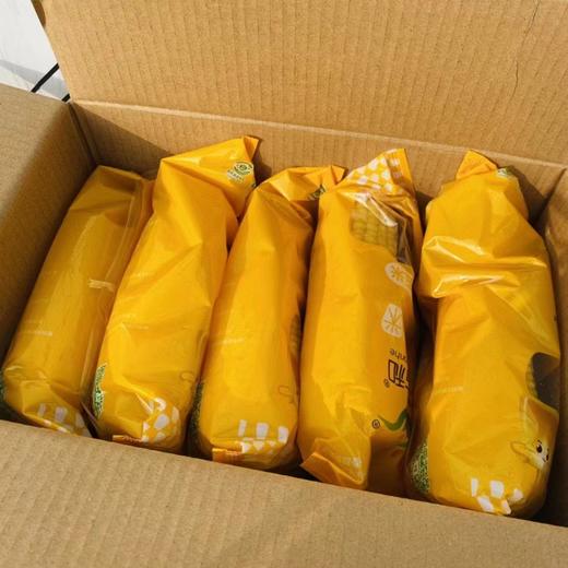 大董玉米2袋四穗（拼团） 商品图2
