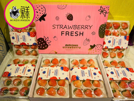 🛵粉玉粉淡雪草莓（11-15粒） 商品图3