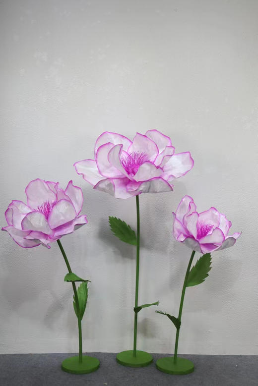 纹边花（运费自理） 商品图4