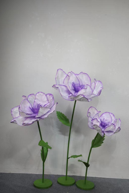 纹边花（运费自理） 商品图6