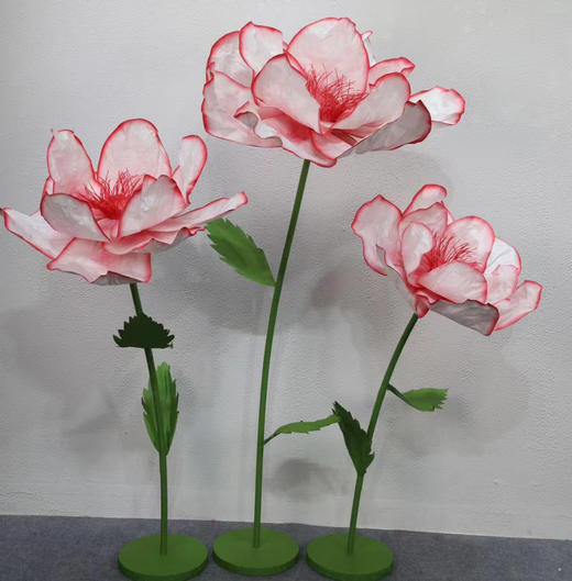 纹边花（运费自理） 商品图2