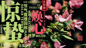 迷罗丨视频直播精华惊蛰节气养生总纲