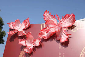 羽蝶（运费自理）