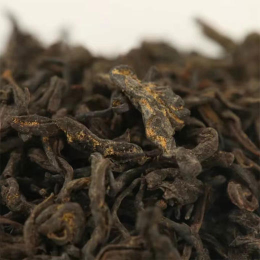 中粮-中茶正宗安化黑茶小金花罐装餐后茶金花茯茶免洗/从茶园到茶杯 商品图2