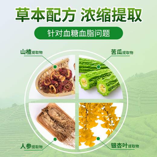 【祖医堂糖脂乐片】 为血糖高研发 草本配方 辅助降血糖 李时珍集团 商品图1