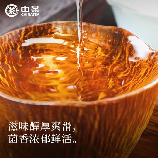 中茶安化黑茶手工金花茯砖茶叶中粮传世1902手筑茯茶168g 商品图2