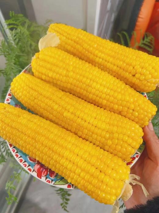 大董玉米2袋四穗（拼团） 商品图4