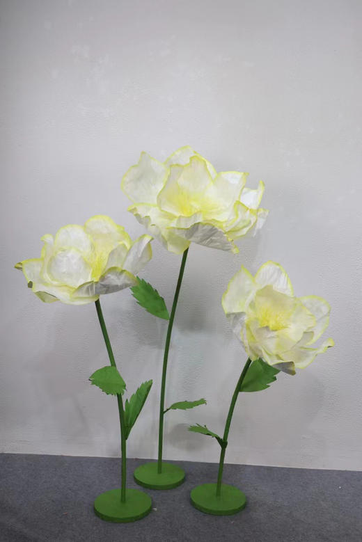 纹边花（运费自理） 商品图10