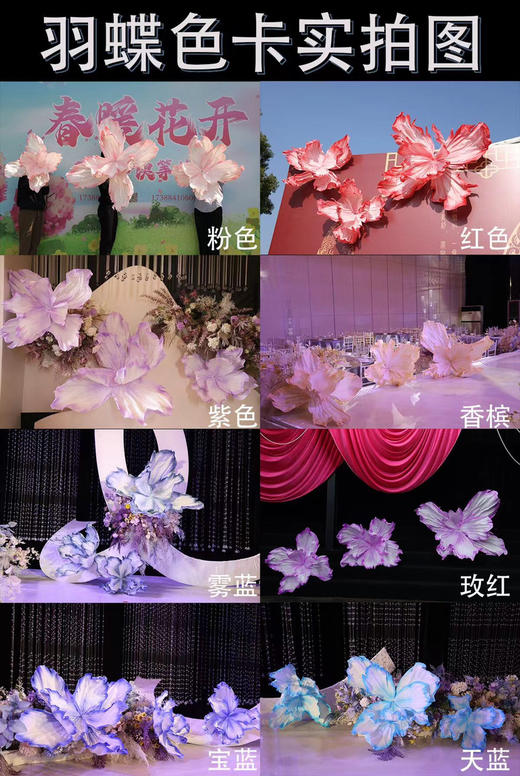 羽蝶（运费自理） 商品图1