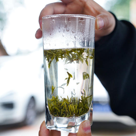 【斌哥优选】头春头采手工蒙顶甘露，三揉三炒，一年一季春日茶。五代非遗传承茶。四川限定应季食物。 商品图4