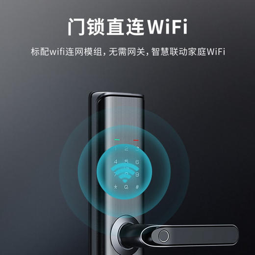 凯迪仕（KAADAS） S110 智能锁指纹锁家用防盗门锁 密码锁电子锁智能门锁 星空灰 商品图6