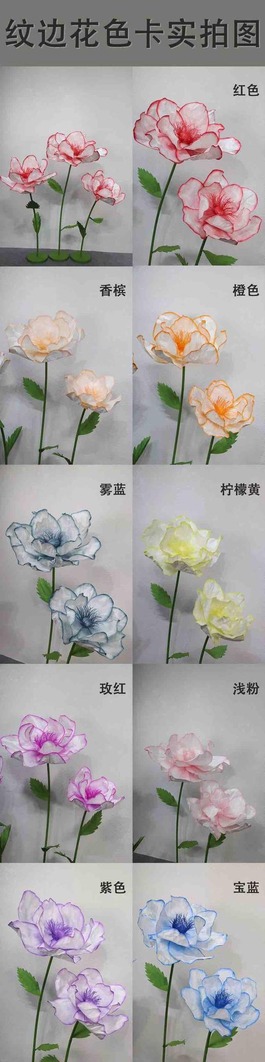 纹边花（运费自理） 商品图11
