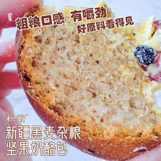 s【黑麦】积蜜·新疆黑麦杂粮坚果奶酪包（410g/盒） 商品图2