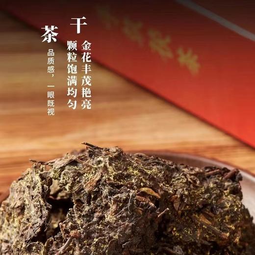 中粮-中茶安化黑茶·中茶中粮金花茯砖茶红票880克/盒/原产地直发 商品图2